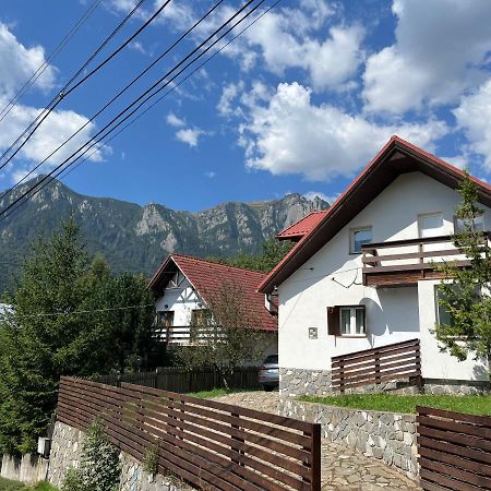 Rustic House Buşteni Exterior foto